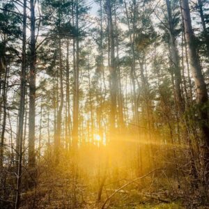 Sesja Soul Body Fusion